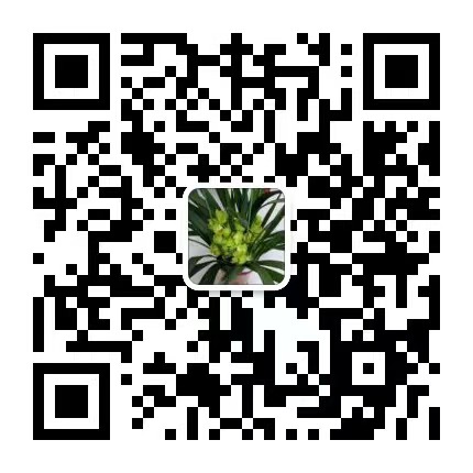 微（wēi）信二維碼